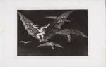 Francisco de Goya. Disparate volante (Flying Folly), 1815-1824. Series: Los Proverbios (The Follies). Etching and Aquatint. © Museum der Moderne Salzburg. Photograph: Rainer Iglar.