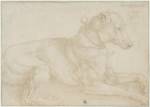 Albrecht Dürer. Dog resting, c1520. Silverpoint over charcoal on pale pink prepared paper, 12.8 x 18 cm. © The Trustees of the British Museum.