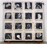 Michael Snow. Press, 1969. 16 gelatin silver prints, Plexiglas, polyester resin, metal and wood, 71 15/16 x 72 x 10 in (182.7 x 182.9 x 25.4 cm). Collection Art Gallery of Ontario, Toronto, Gift of Sydney Lawrence Wax and Lillian Lisa Wax, 2009.