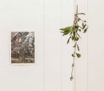 Kang Seung Lee, Erasure held like a fierce lantern, 2026. Part of The Dead Don’t Go Until We Do, 2026. Exhibition view, Talbot Rice Gallery, the University of Edinburgh. Photo: Sally Jubb.