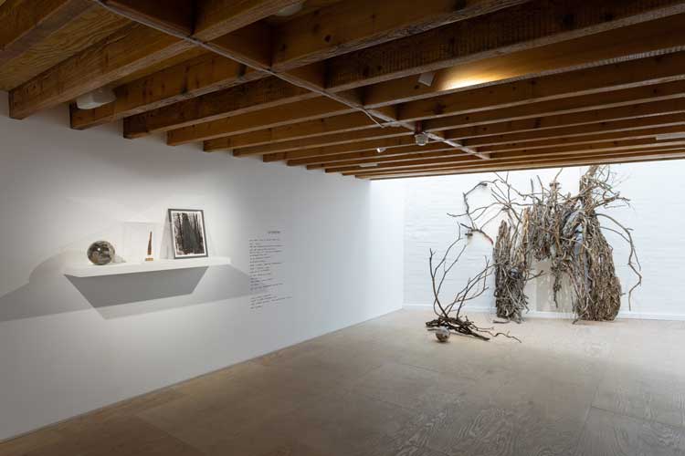 The Baroness, installation view, Mimosa House, London.