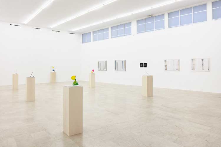 Goran Trbuljak, 45 Years of Non-Painting, 2022, installation view, P420, Bologna. Photo: Carlo Favero.