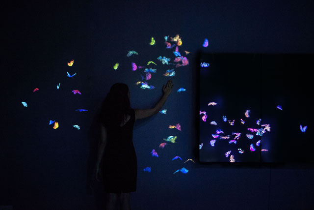 TeamLab. Flutter of Butterflies Beyond Borders, Ephemeral Life, 2016. Photograph courtesy teamLab © 2016.