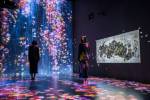 TeamLab. Universe of Water Particles, Transcending Boundaries. Photograph courtesy teamLab © 2016 teamLab, courtesy Pace Gallery.