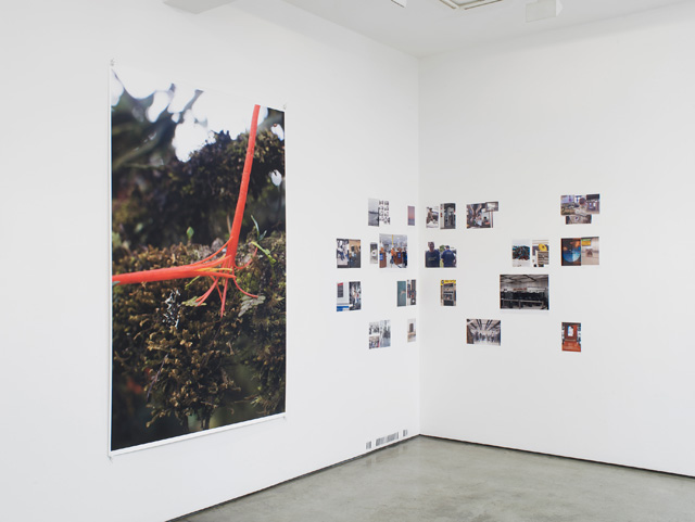 Wolfgang Tillmans. Exhibition view (2), Maureen Paley, London, 2016. © Wolfgang Tillmans, courtesy Maureen Paley, London.