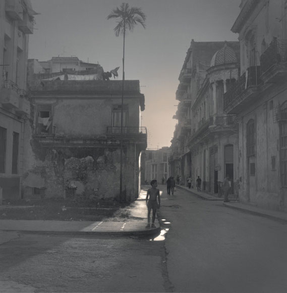 Alexey Titarenko. Palm Tree, Havana, 2003. Gelatin silver print, printed by the artist, edition 3/10, 16 x 16 in (40.6 x 40.6 cm).