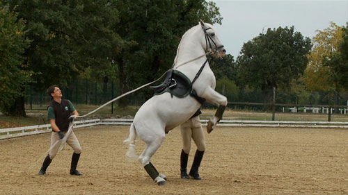 Salla Tykkä. Airs Above the Ground, 2010. Production still (1) by Alan Kucar. Courtesy the artist.