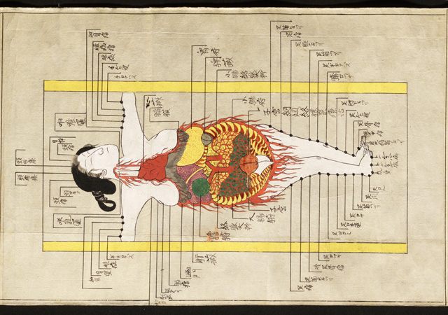 Illustration of the internal organs and acupuncture points in Shishi bessho zui. Hozumi Koremasa, 1820s. © Royal College of Physicians.