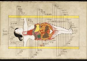 Illustration of the internal organs and acupuncture points in Shishi bessho zui. Hozumi Koremasa, 1820s. © Royal College of Physicians.