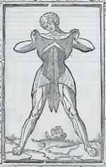 Illustration of the muscles of the torso in Isagogae breves. Dissected and probably drawn by Jacopo Berengario da Carpi, woodcut artist unknown. Published Bologna, 1523. © Royal College of Physicians. Photo: Mike Fear.