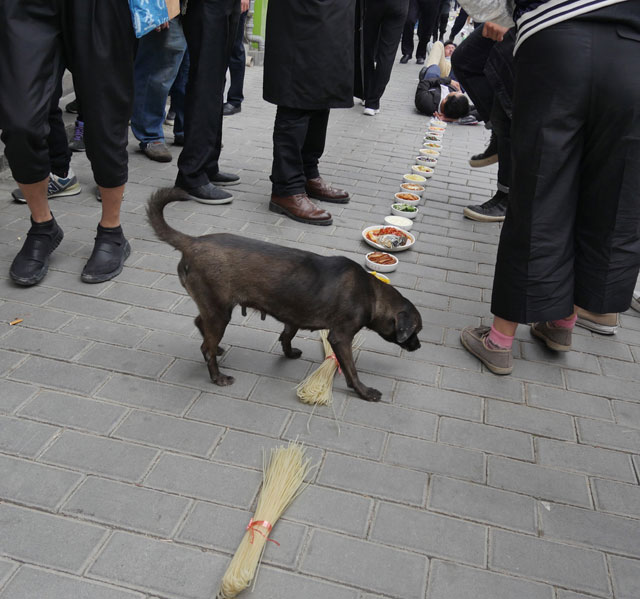 Performance by New York-based Chinese artist Lin Yilin. Photograph © the artist.