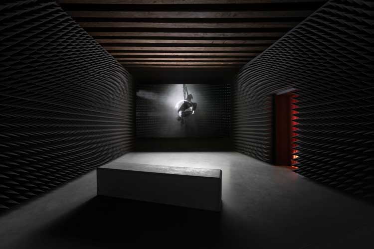 Angela Su: Arise, Hong Kong in Venice, 2022. Installation view. Photo: t-space studio, courtesy of M+, Hong Kong.