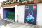 Alberta Whittle: Deep Dive (Pause) Uncoiling Memory, Scotland + Venice, 2022. Photo: Martin Kennedy.