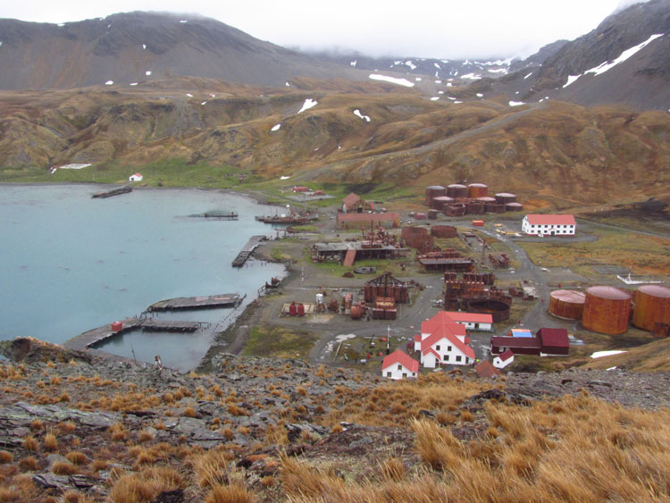 Grytviken, South Georgia. Photo: Juliet Rix.