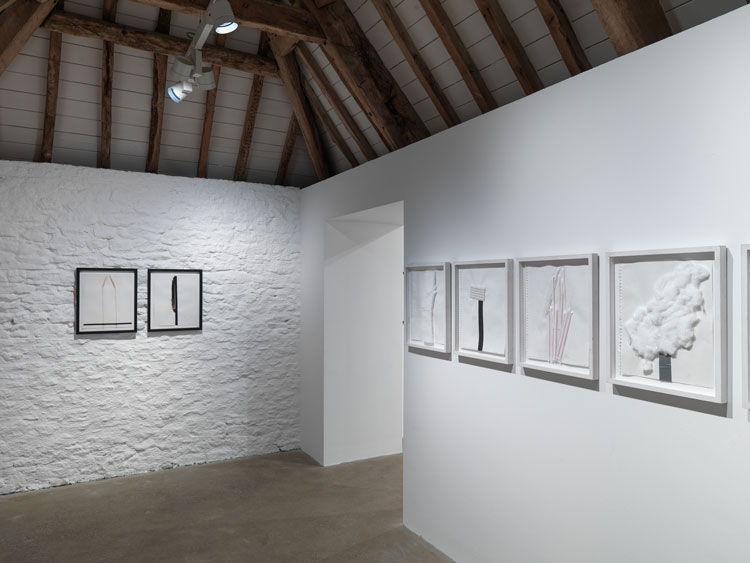 Installation view, Not Vital. SCARCH’ Hauser & Wirth Somerset 2020. Photo: Ken Adlard. Courtesy of the artist and Hauser & Wirth © Not Vital.