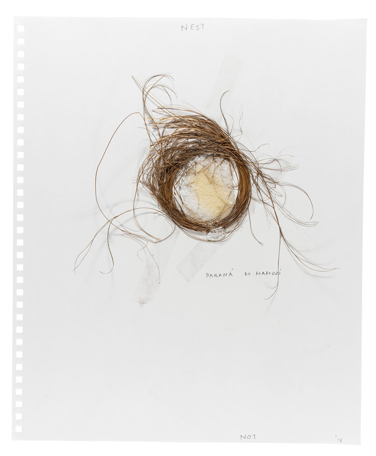Not Vital. Nest, 2018. Straw, silicone, tape and pencil on paper, 43.2 x 35.6 cm (17 x 14 in). Image © Not Vital. Courtesy of the artist and Hauser & Wirth.