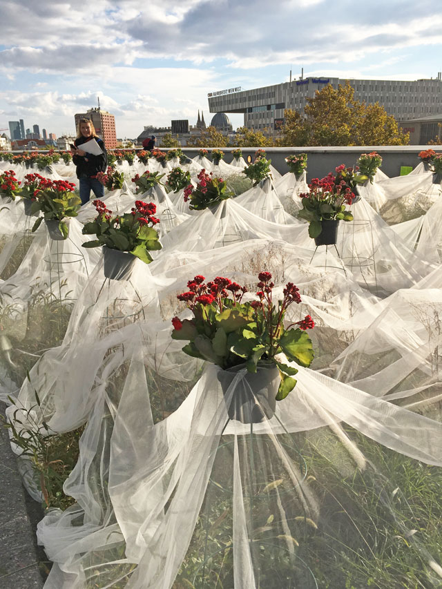 Sophienspital rooftop garden art by landscape architects Auböck + Kárász. Photo: Veronica Simpson.