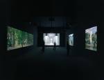 Bill Viola. Going Forth By Day, 2002. Installation view. Photograph: Mathias Schormann.