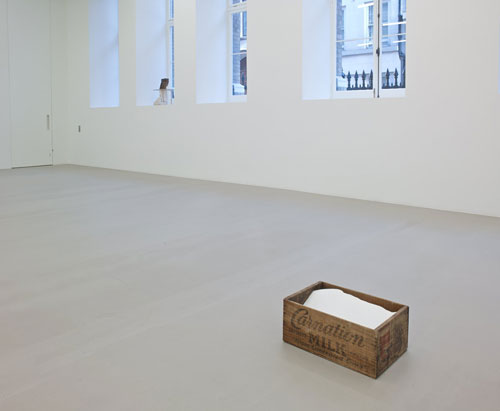 Danh Vō, Homosapiens, installation view (2), Marian Goodman Gallery.