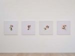 Alison Watt: From Light, installation view, Pitzhanger Manor & Gallery, London, 5 March – 15 June 2025. Photo: Andy Stagg.
