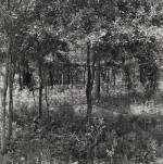 Carrie Mae Weems. Untitled (Box Spring in Tree) (from Sea Islands Series), 1991–92. Gelatin silver print, 20 x 20 inches (50.8 x 50.8 cm). Whitney Museum of American Art, New York, Gift of Carrie Mae Weems and P•P•O•W. © Carrie Mae Weems. Photograph: Robert Gerhardt.