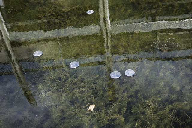 Patrick Coyle. The Floating Thirty-Nine, 2016. Dimensions variable. Installation photograph: Peter Kidd.