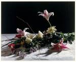 Christopher Williams. Bouquet, for Bas Jan Ader and Christopher D'Arcangelo, 1991. Tate. Image courtesy Galerie Gisela Capitain, Cologne and David Zwirner, New York/London.