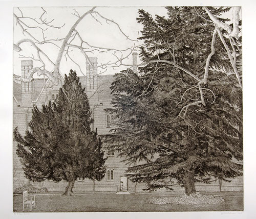 Joseph Winkelman. Fir and Yew, (Wadham College), 1998. Etching, 50 x 55 cm. © the artist.