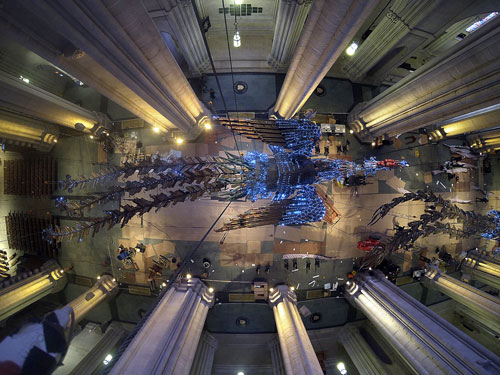 Xu Bing. Phoenix Project, 2008-2010. Installation view of Phoenix: Xu Bing at the Cathedral, The Cathedral Church of Saint John the Divine, New York, 2013. 27 and 28 metres in length, 8 metres in width, 5 metres in height. Courtesy Xu Bing Studio and The Cathedral Church of Saint John the Divine.