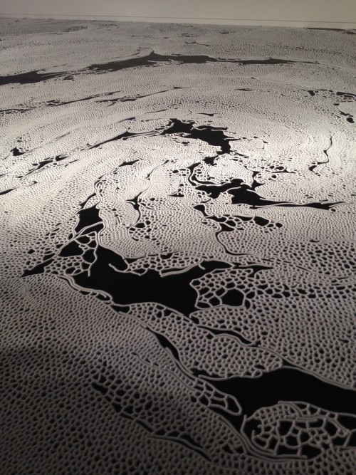 Motoi Yamamoto. Floating Garden, 2015. Salt installation. Pola Museum Annex, Ginza, Tokyo. Photograph: Kanae Hasegawa.