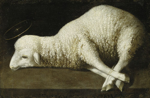 Francisco de Zurbarán. Agnus dei, ca. 1635-1640. Oil on canvas, 35.56 x 52.07 cm. San Diego, The San Diego Museum of Art, gift of Anne R. and Amy Putnam.