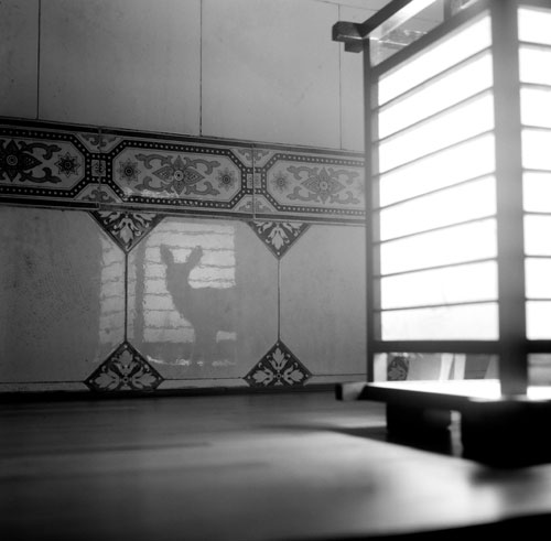 Vicente de Mello. Théâtre d'ombres, 2012. Photography from Silent City Series.