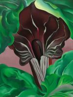 Georgia O'Keeffe, Jack-in-the-Pulpit No. 2, 1930. Oil on canvas. The National Gallery of Art, Washington © 2013 National Gallery of Art, Washington.