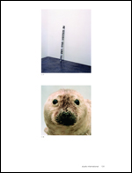 Special issue 2009, Volume 208 Number 1031