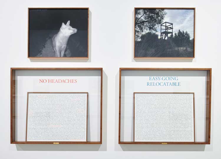 Sophie Calle, On the Hunt, 2017–2024.